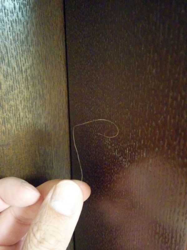 白髪発見