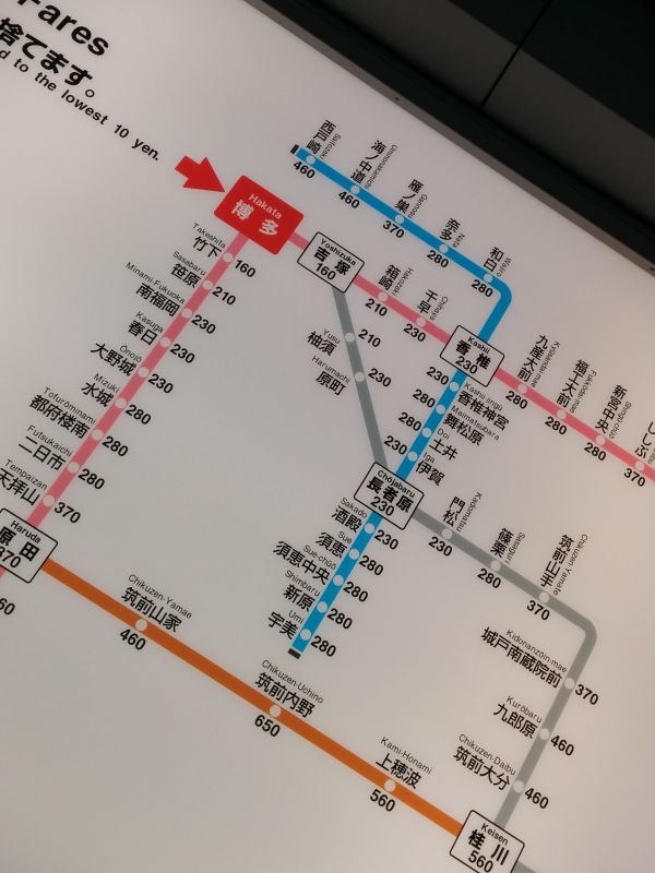 本日のお出かけ先