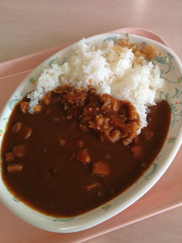 本日の昼食