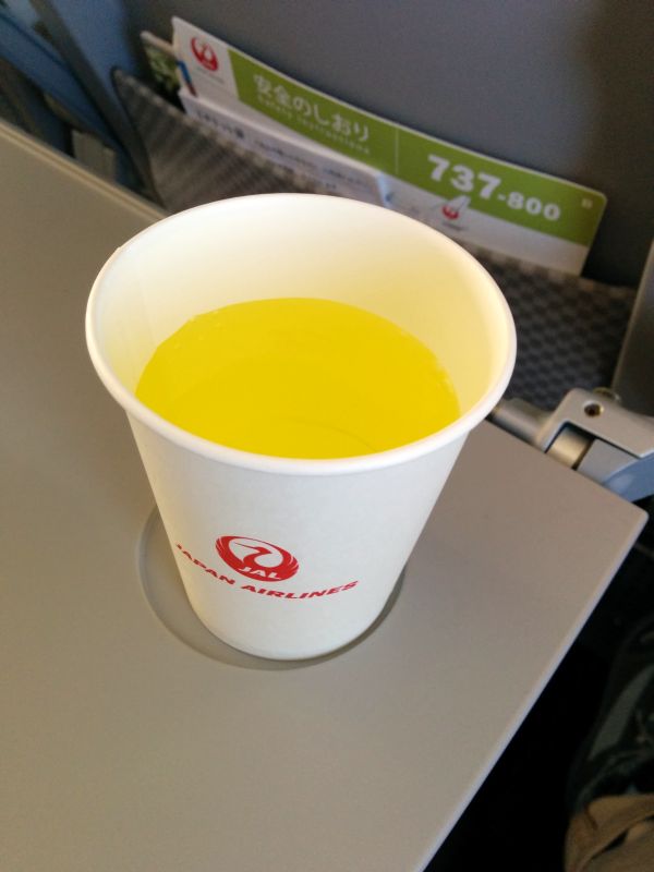 本日のドリンク