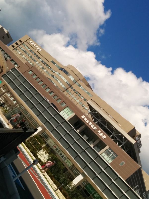 新潟大学病院