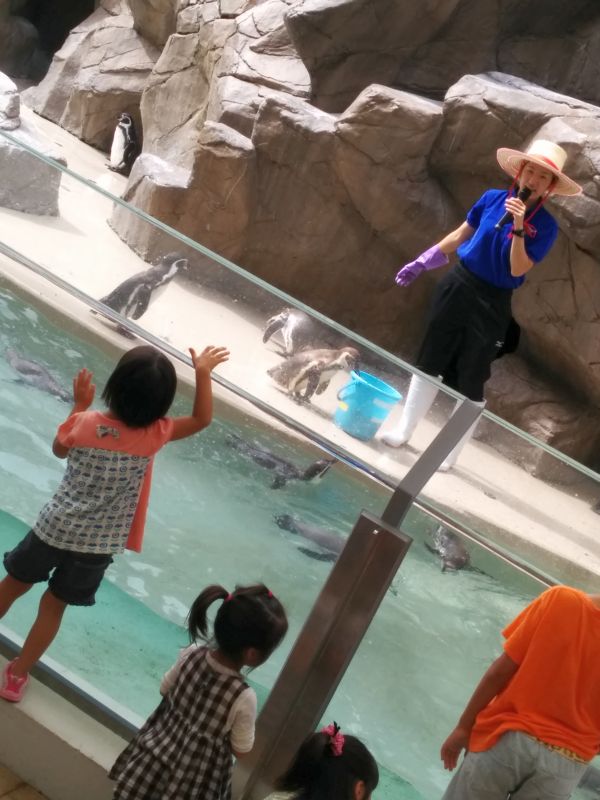 ペンギン解説