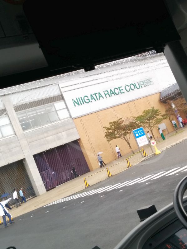新潟競馬場着