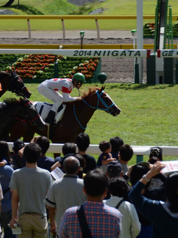 １着馬