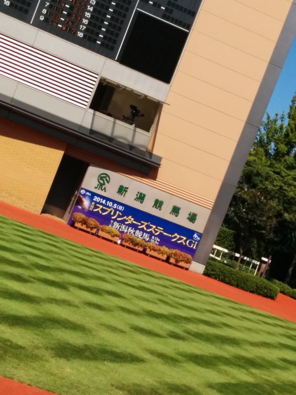 パドック