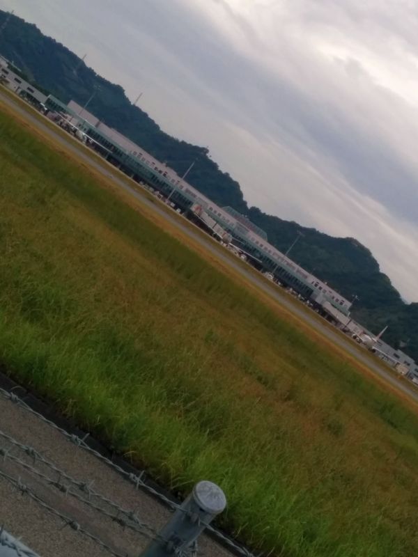 離発着の様子