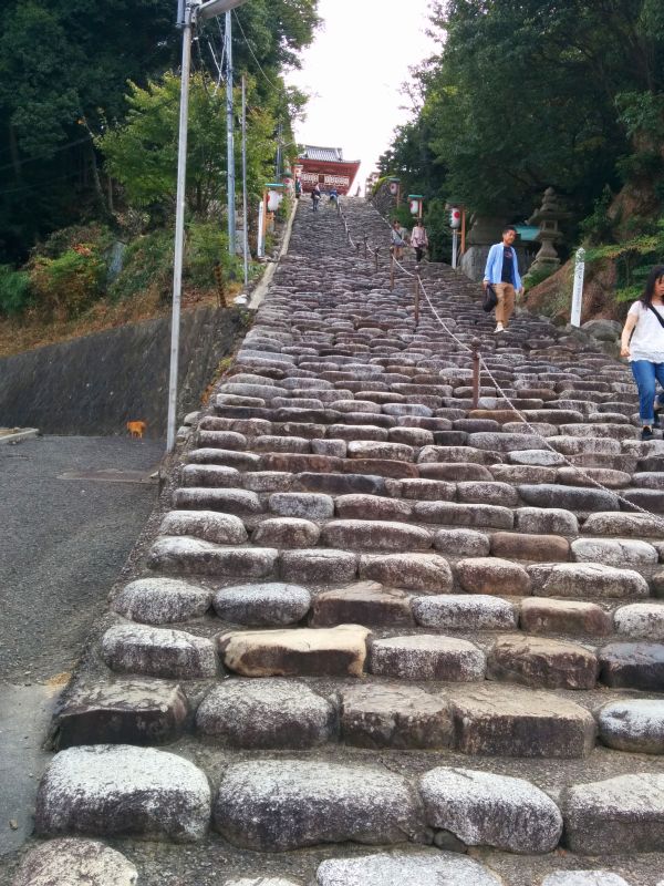 神社の階段