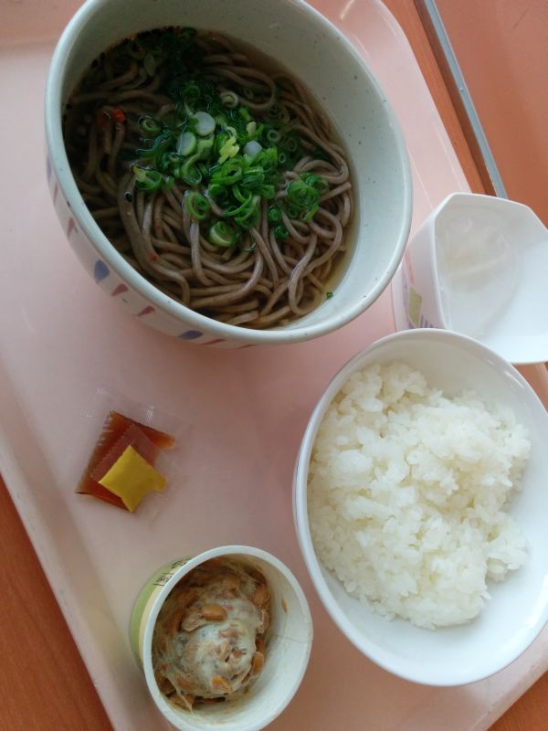 本日の昼食