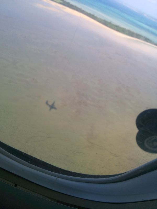 飛行機の影