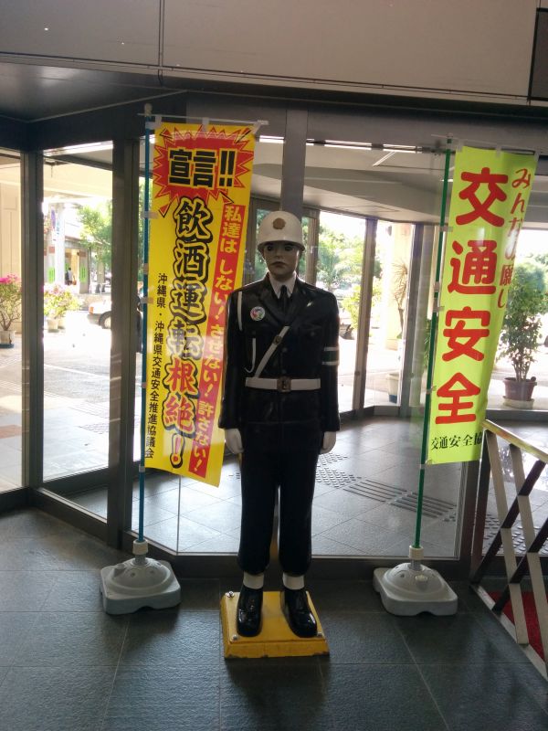 宮古島いたる君