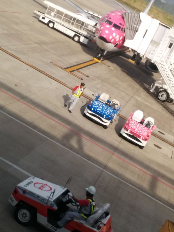 南西航空塗装のトーイングトラクター