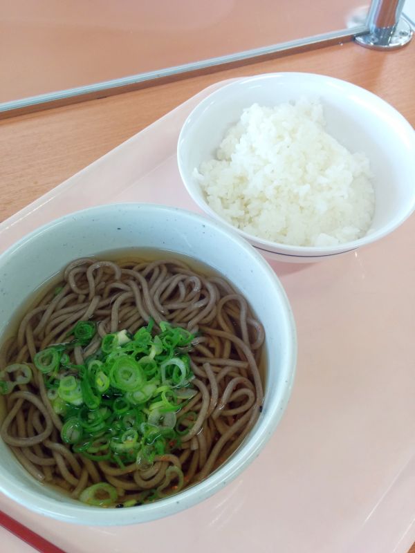 本日の昼食