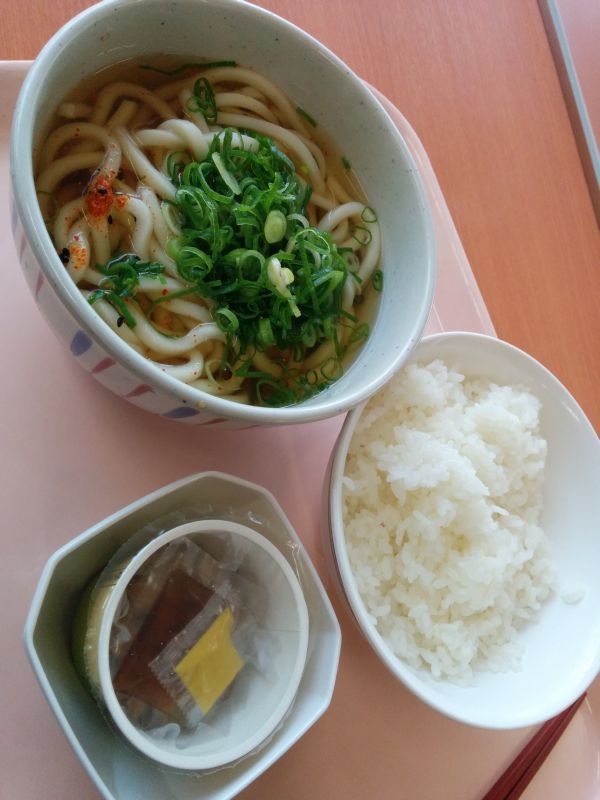 本日の昼食