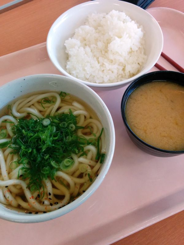 本日の昼食