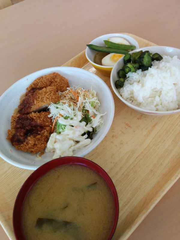 本日の昼食