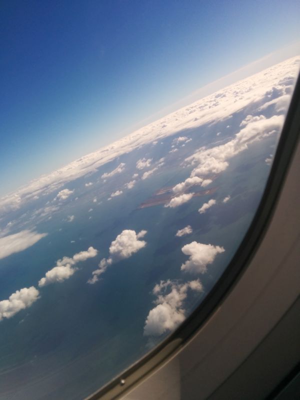 本日のお天気