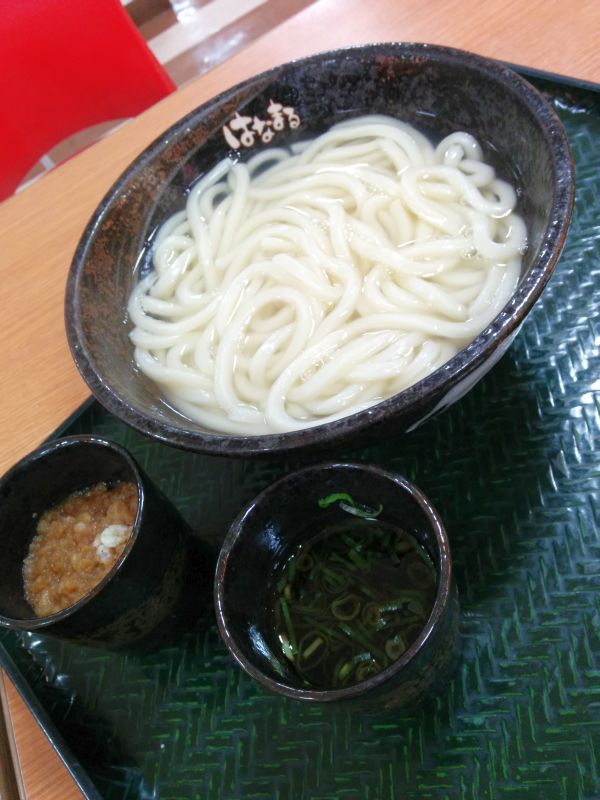 本日の夕食