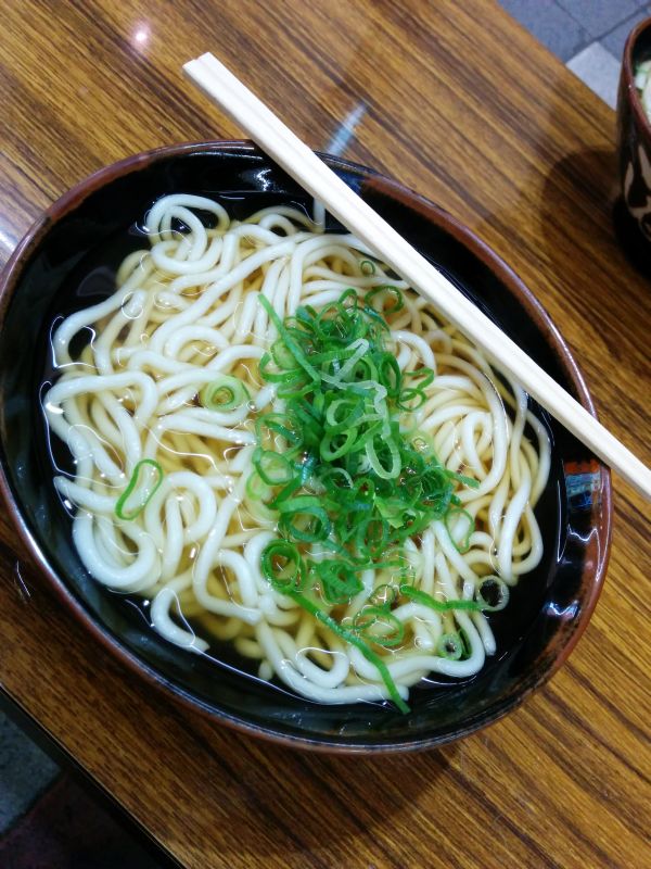 本日の夕食