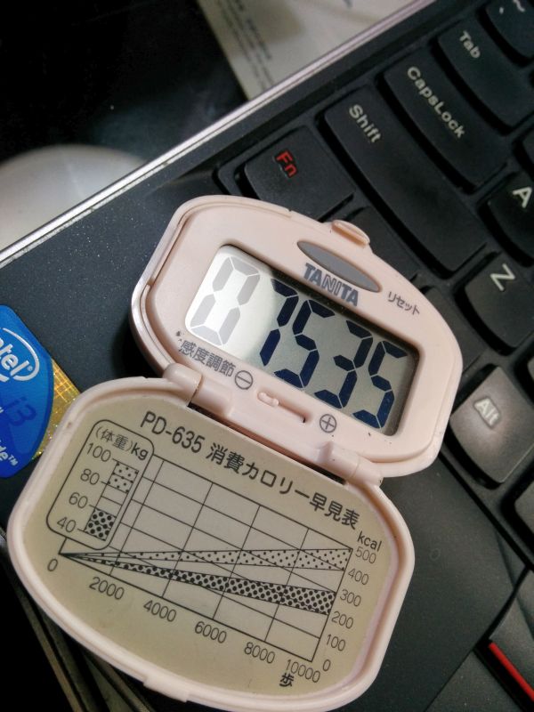 旅行開始からの歩数
