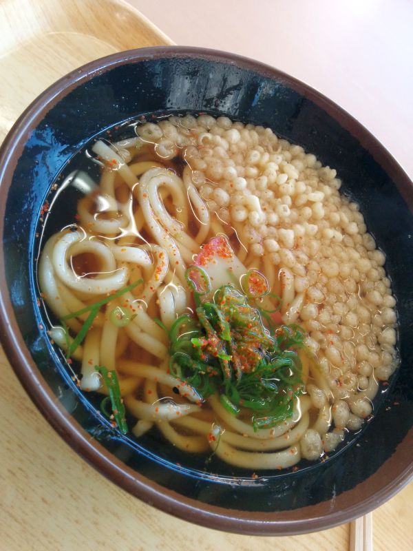 本日の昼食