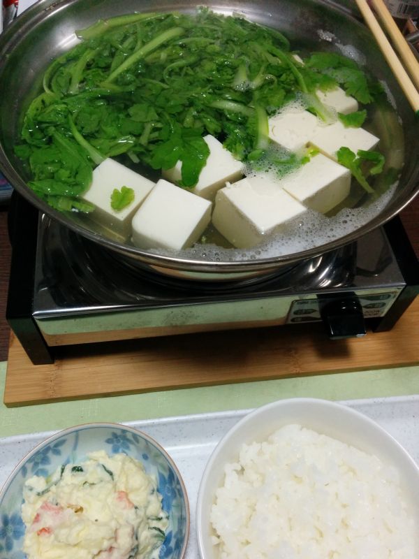 本日の夕食