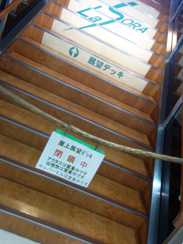 展望デッキ