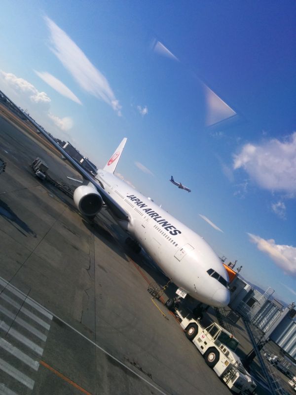 本日の機材