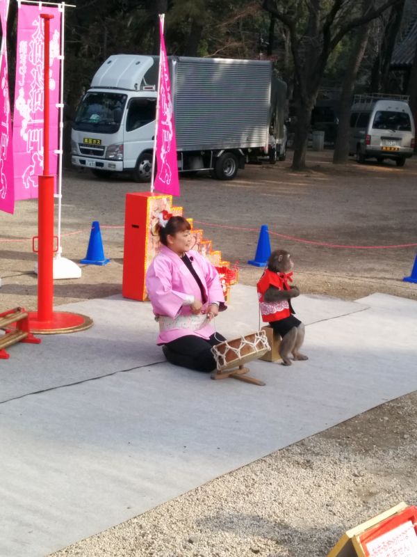 猿回し芸
