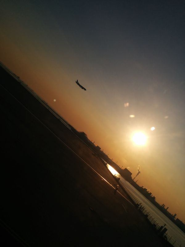 太陽の前を通過する飛行機