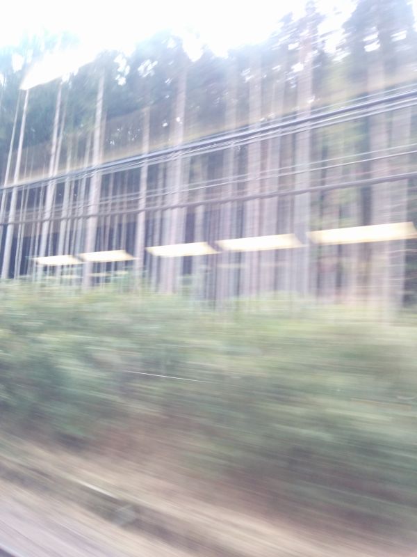 電波強度