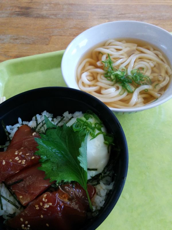 本日の昼食