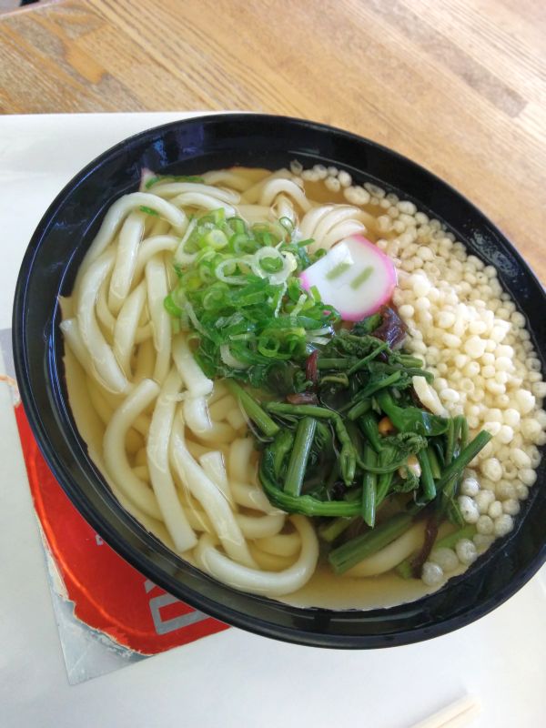 本日の昼食