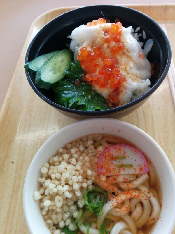 本日の昼食