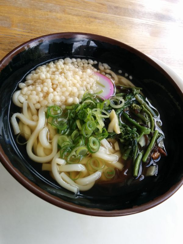 本日の昼食