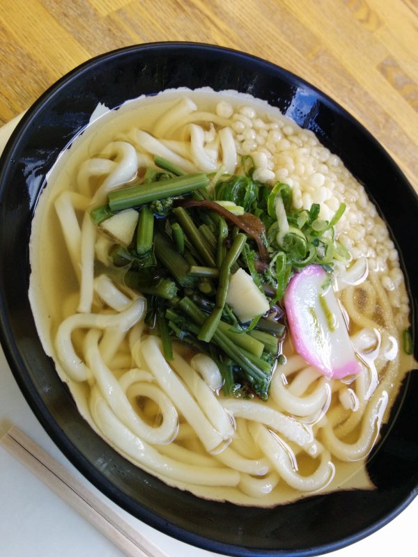 本日の昼食