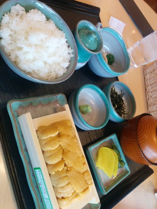 本日の昼食