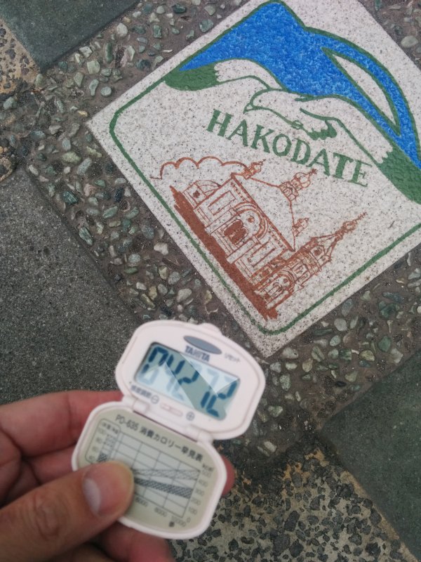 家からの歩数