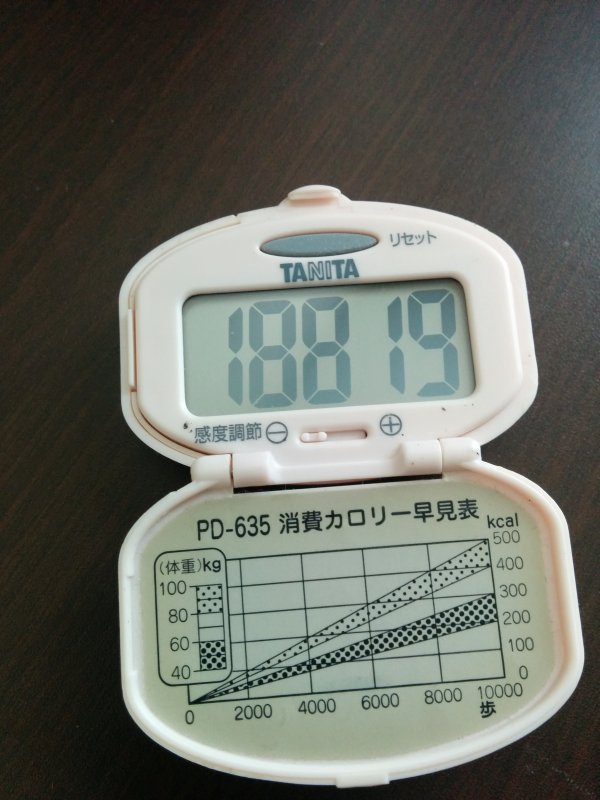 昨日までの万歩計