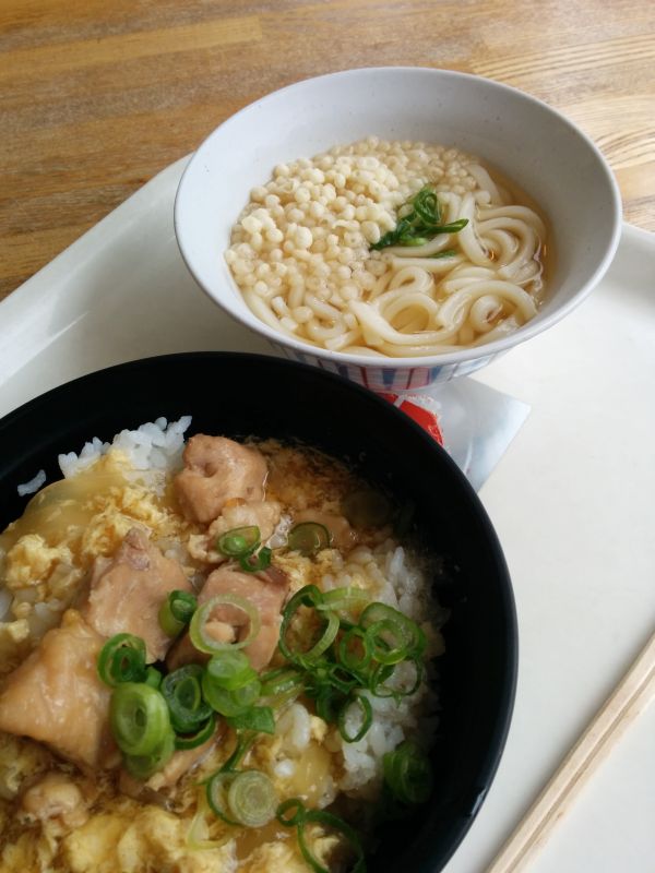 本日の昼食