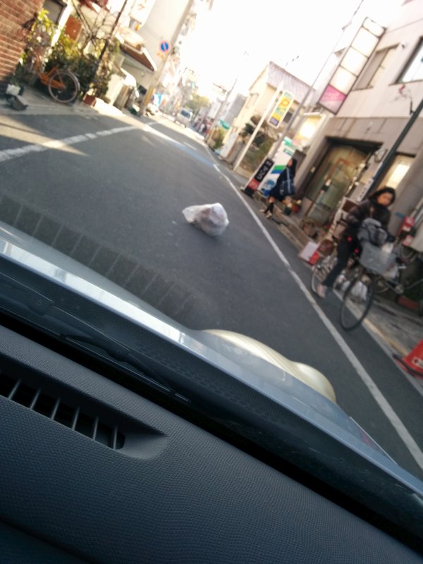 道路上の障害物