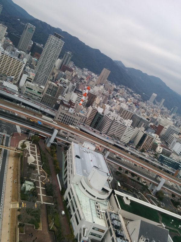 展望室からの風景