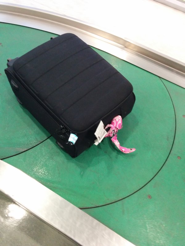 本日の回転台