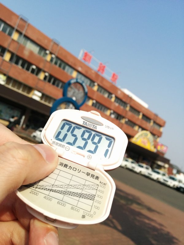 自宅からの歩数