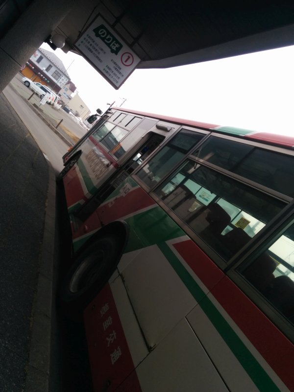 本日のバス