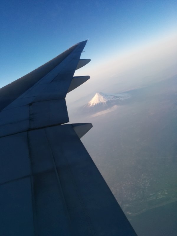 本日の富士山