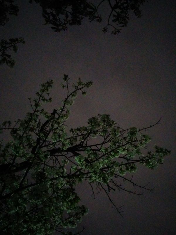 現在の空模様