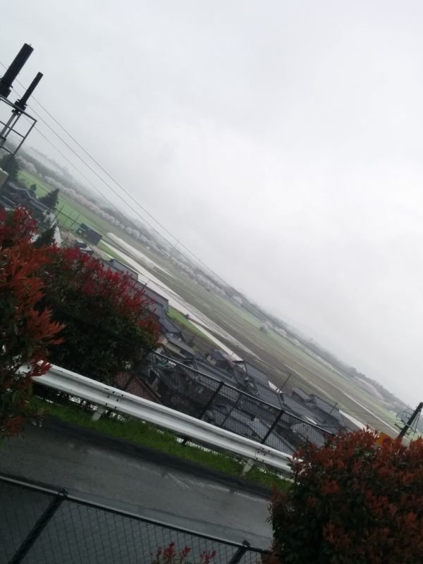 桜の風景