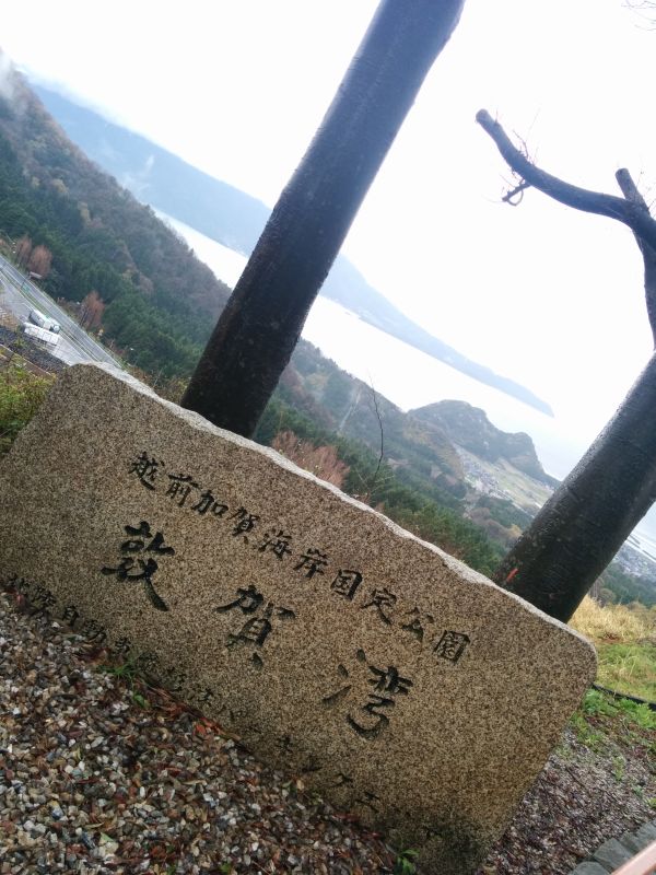 敦賀湾