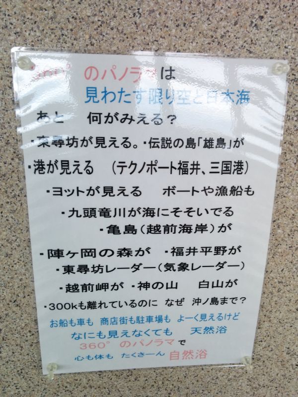 周辺の風景