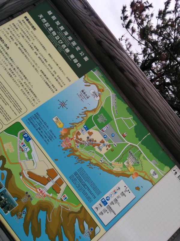 東尋坊周辺図